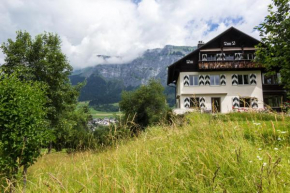 Edelweiss Haus Collina Flims